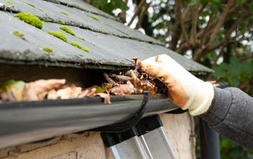 gutter cleaning Moy