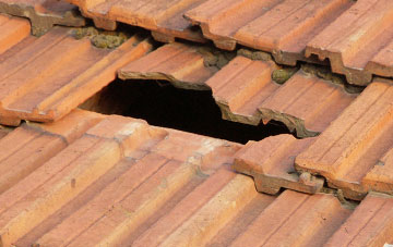 roof repair Moy