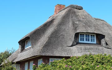 thatch roofing Moy